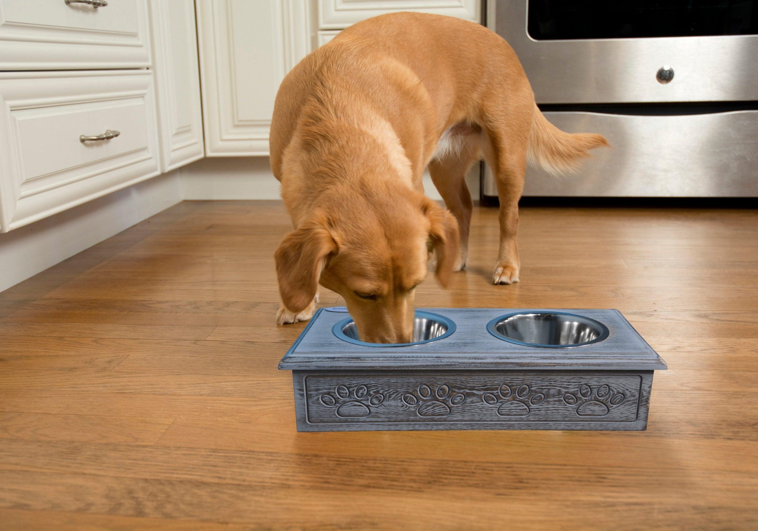 Sassy Paws Wooden Pet Double Diner with Stainless Steel Bowls - Small
